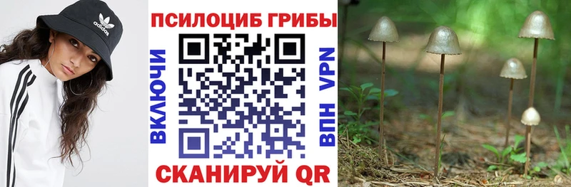 Псилоцибиновые грибы Cubensis  Белинский 